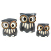 3 Blue Owls