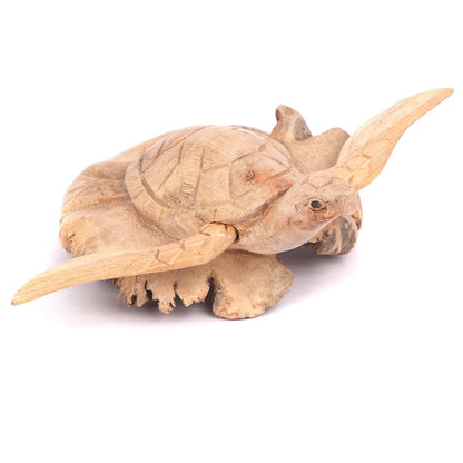 Turtle With Wings